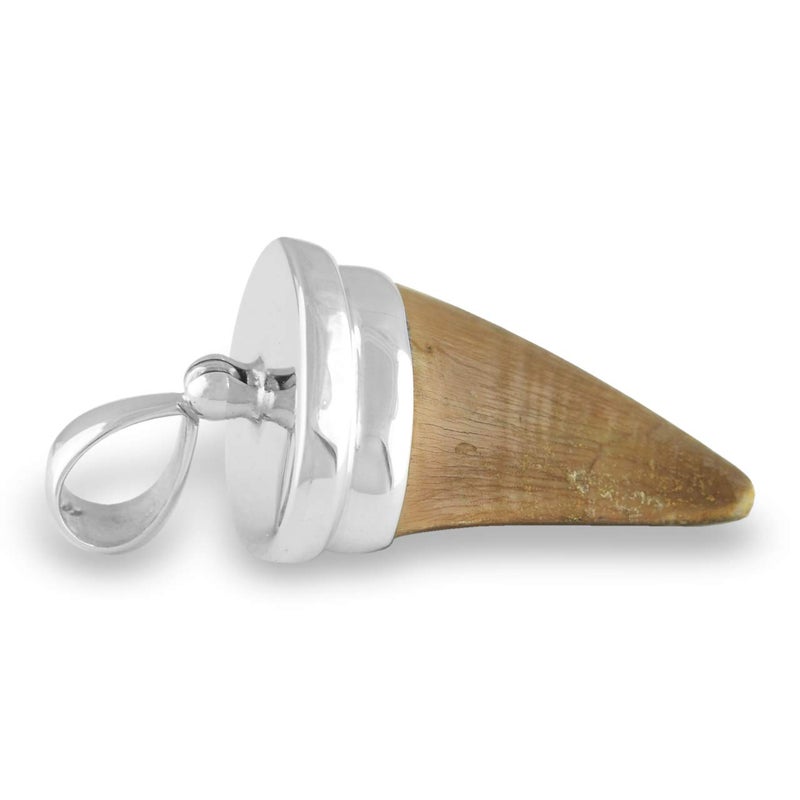 Starborn Fossil Mosasaurus Tooth Pendant in Sterling Silver - Image 3